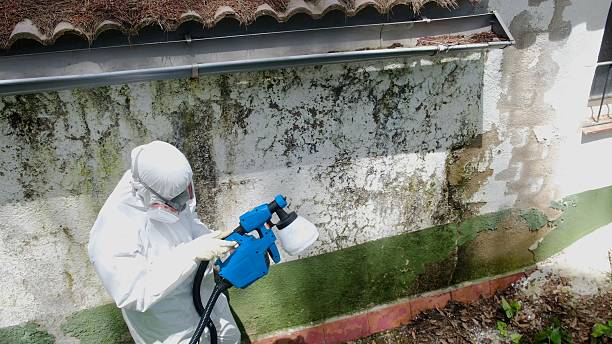Top rated local Commercial Mold Remediation specialists in Waynesboro, VA